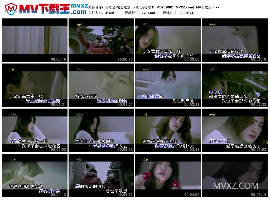 岳思思-越思越想_国语_流行歌曲_MB202882